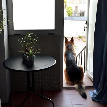 Apartamento Porto's Secret Backyard Porto