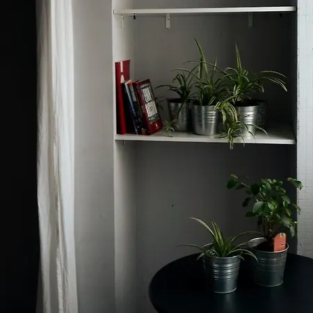 Porto's Secret Backyard Apartamento Porto