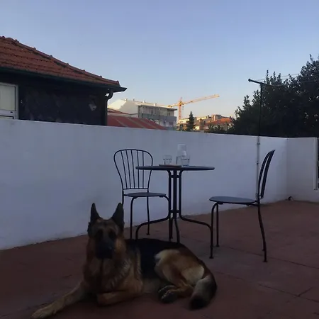 Apartment Porto's Secret Backyard