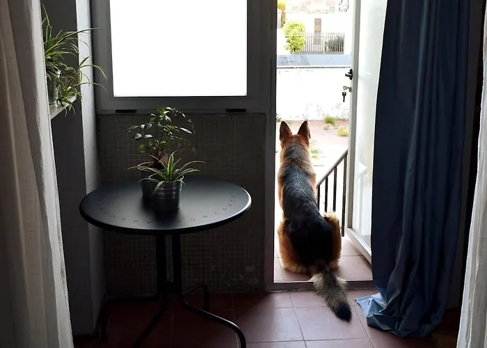 Apartmán Porto's Secret Backyard Porto