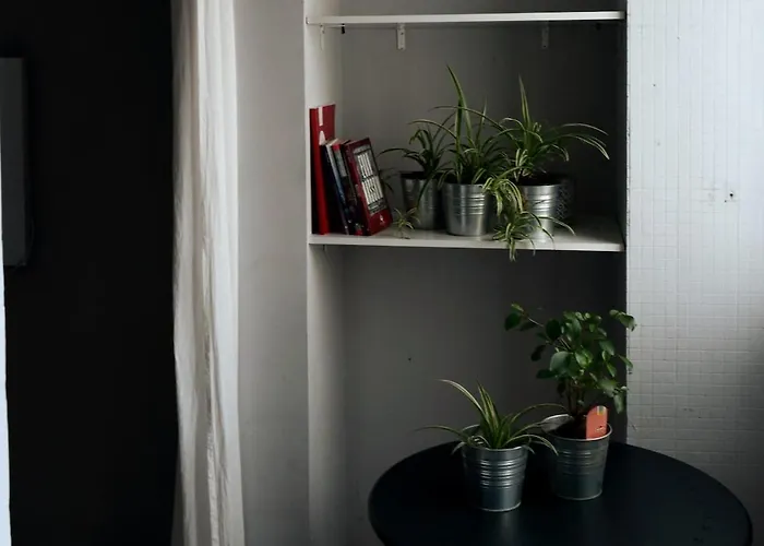 Porto's Secret Backyard Apartmán Porto