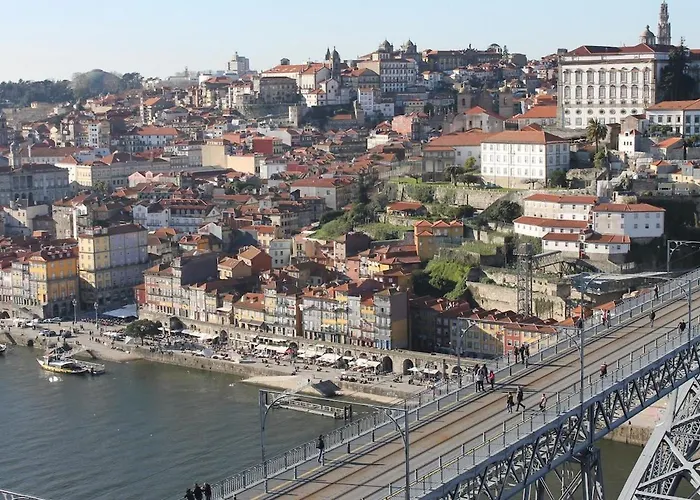 Porto's Secret Backyard 포르투